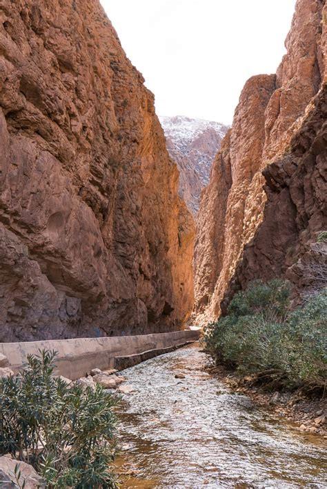 Excursion en calèche et visite de la Vallée De Dades et Oasis de Fint Ouarzazate